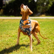 Load image into Gallery viewer, MCBC Dog Bandanas