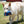 Load image into Gallery viewer, Status Quo Dog Toy
